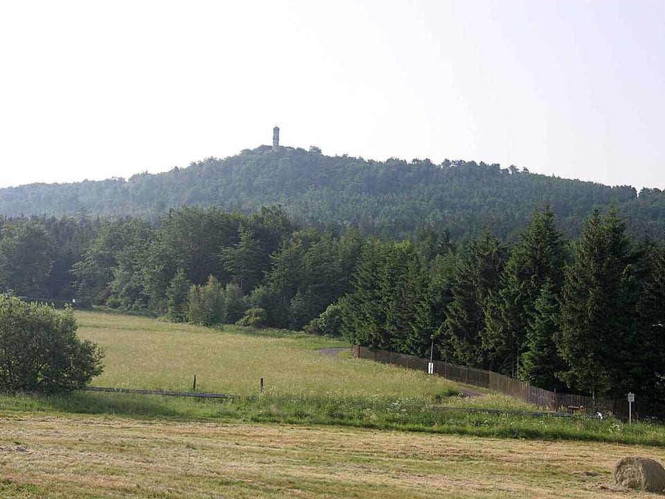 Hvozd