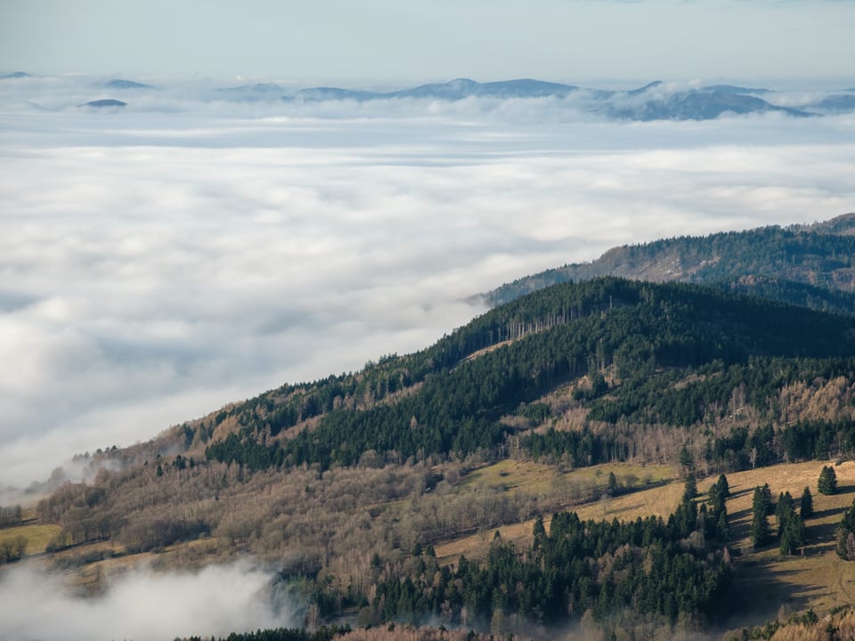 Ještěd — fotka 3 z 3