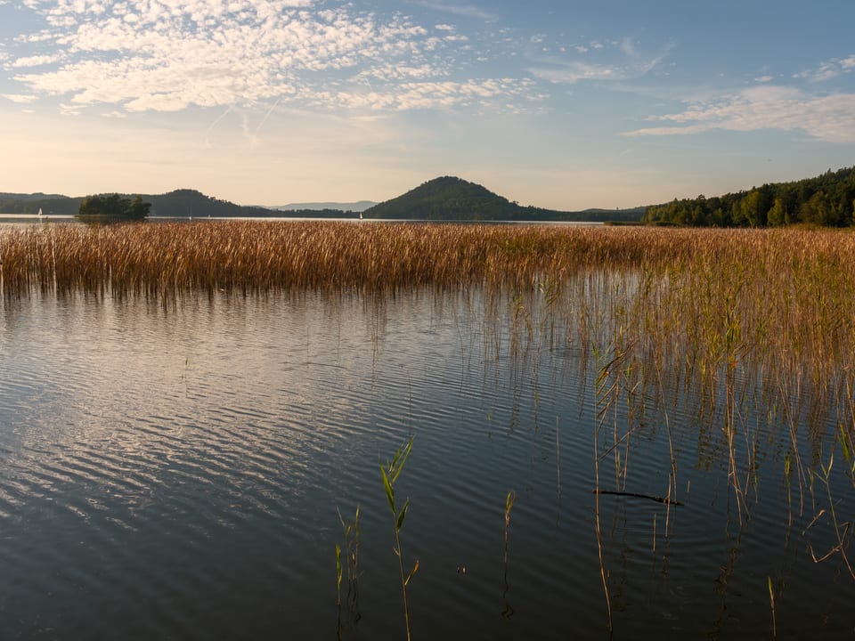 Máchovo jezero
