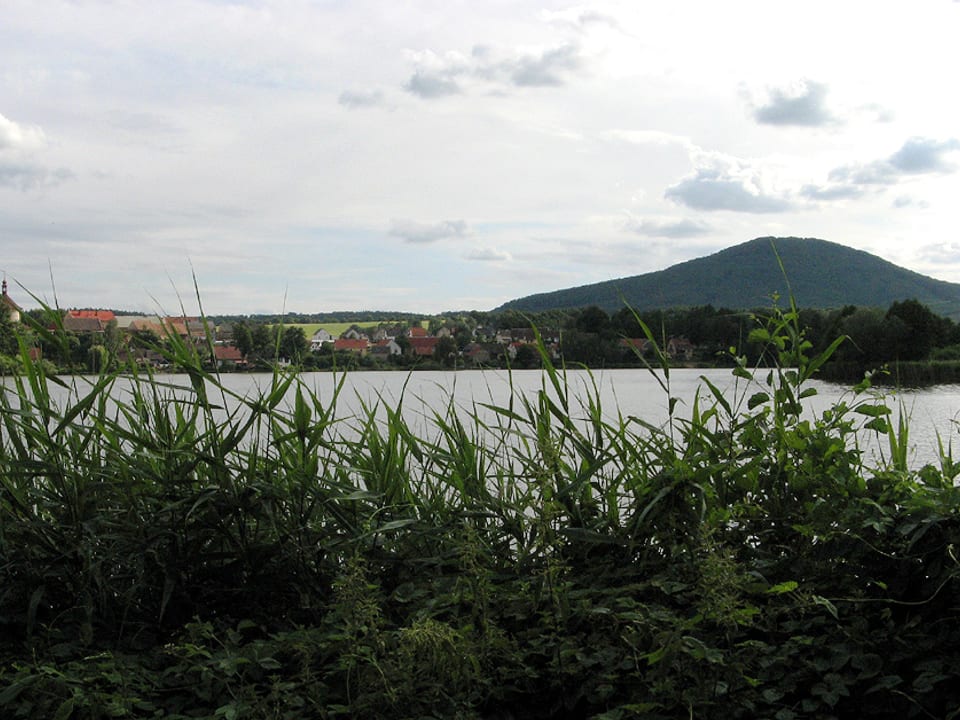 Vlhošť